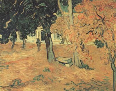 Vincent Van Gogh The Garden of Saint-Paul Hospital (nn04) oil painting image